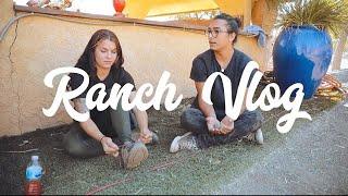 Ranch Vlog #2