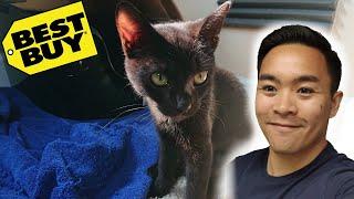 Best Buy Movies & Adopting a Cat | Movie Hunt