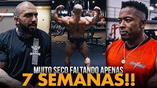 AVALIAMOS O SHAPE DELE  QUALIFICADO PARA O MR. OLYMPIA *ele é o melhor do Brasil? Top 10?*