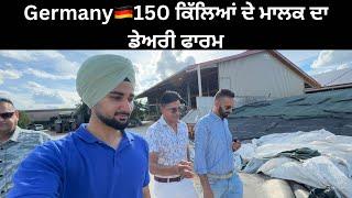 Dairy farm in Germany  ਕੰਮ ਕਰਨ ਵਾਲੇ ਨੀ ਮਿਲਦੇ, ਮਾਲਕ ਆਪ ਕਰਦੇ ਨੇ ਸਾਰਾ ਕੰਮ