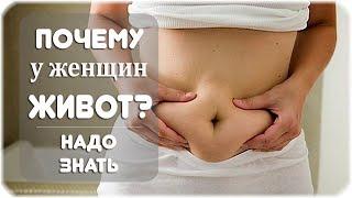 Почему у женщин возникает большой живот? Причины образования живота!