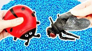 Lots of Bugs Toys for Children | Learn Bug Insect Names: Slug Tarantula Beetle Woodlouse