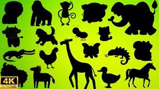 Guess the shadow of the animals quiz| shadow game| learning animals video for kids |Family FunTime!