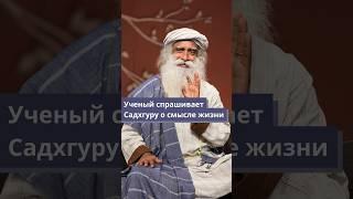 Ученый спрашивает Садхгуру о смысле жизни