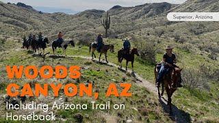 Woods Canyon Arizona Horse Trail Ride