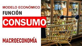 Macroeconomía función de consumo