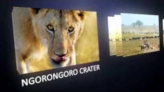 Booktrailer - Wildlife Photography - dpunkt.verlag - rooky nook
