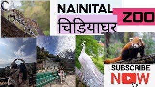 Nainital zoo| Nainital ka chidiyadhar | Nainital Zoo animal | Zoo park | Bengal   | #nainitalzoo