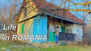 Property Hunting* in a 600 years old Village in ROMANIA  Countryside Vlog, Shopping, ASMR Vlog