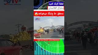 خشم استادمحقق از تالبا! دل شان ج/نگ میخواهند!!  #دشت_برچی #هزاره