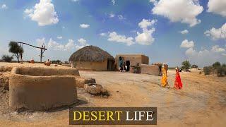 Village & Tribal Life and culture of Cholistan Desert near Pak-India Border