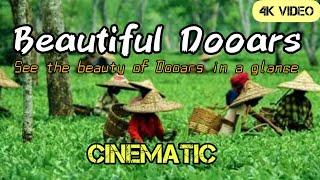 Beautiful Dooars। See The Beauty of Dooars in a glance।