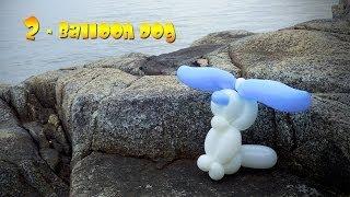 2 Balloon Dog