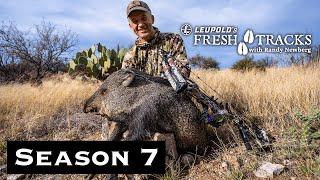 Sonoran Wildlife Wonderland: Arizona Coues, Quail, Jack Rabbit and Javelina | (Amazon Episode)