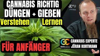 Cannabis Anbauen richtiger Dünger und gießen Nährstoffmangel Überdüngung Schädlinge für Anfänger