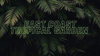 Creating a tropical garden on the East Coast of the UK. May 2023