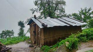 Most Beautiful And Peaceful Mountain Village Life of Nepal || Rainy Day in Village || Village Life |