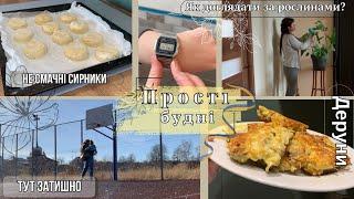 Vlog2 Прості будніПрості рецепти  Що робити з фікусом? Підставка для яєць до Великодніх свят 