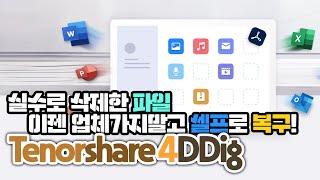 실수로 파일을 지웠다면 셀프로 복구해보자! Tenorshare 4DDiG(테너쉐어 포디딕)