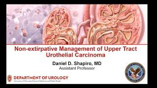 UW Urology Grand Rounds:" Non-extirpative Management of Upper Tract Urothelial Carcinoma" 8/28/2024