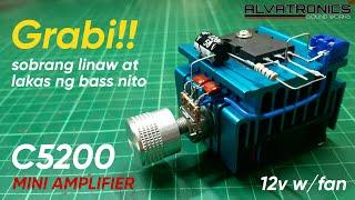 C5200 mini amplifier_12v power supply w/fan (tagalog)