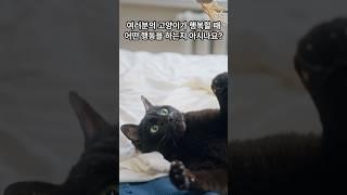 고양이가 좋아할 때 하는 행동 5가지  #고양이 #고양이정보 #cat #고양이팁 #고양이행동#꾹꾹이 #골골송#고양이습관#고양이좋아할때 #catcare