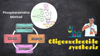 Chemical synthesis of oligonucleotides|Phosphoramidite Method|