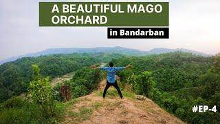 WHAT A BEAUTIFUL MANGO ORCHARD || আম বাগান || #EP-4 || S BIKASH VLOGS ||