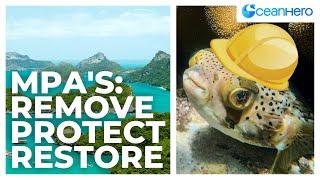 What Are Marine Protected Areas And Why Are They Important? | OceanHero Education