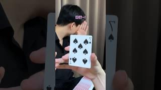 초간단 카드마술