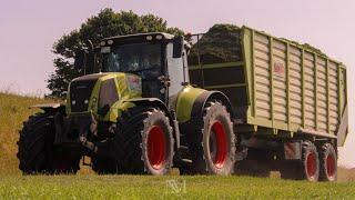 3Schnitt 2025 Schweinsberger Dersch Gbr
