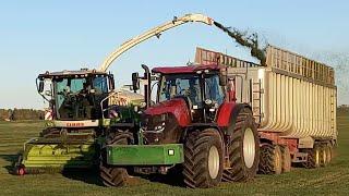 Gut Hohen Luckow Gras häckseln 2 Jaguar960,John deere7250r/6250r,Case Optum240(Classic)