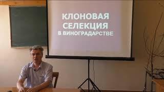 Селекция винограда Клоновый отбор Ч1