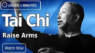 Cheng Man Ching 37 Short Form Movement #4 Raise Arms