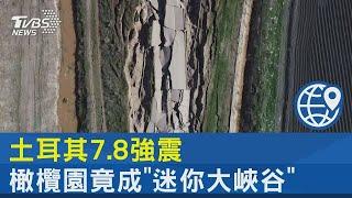 建築瞬間倒塌! 土耳其7.8強震 橄欖園竟成「迷你大峽谷」｜TVBS新聞