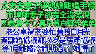 太搞笑了，丈夫去妻子律所辦理離婚手續，而律師妻子卻完全沒發現，因為妻子心裏只有白月光弟弟，老公車禍老婆忙著陪白月光，簽離婚協議都以為是房產協議，等1月離婚冷靜期過了，她懵了...