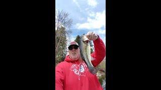 Spring Bass fishing Hauser Lake Idaho 4 -18