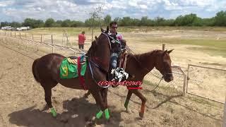 EL COYOTE  VS EL BARBARO
