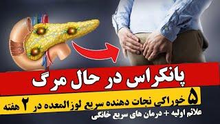 پانکراس عامل تولید انسولین درخطراست/علائم اولیه هشدار دهنده/۵غذای نجات دهنده پانکراس/پانکراس و دیابت