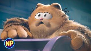 Garfield's Dad Reveals Why He Left Him | The Garfield Movie (2024) | Now Playing