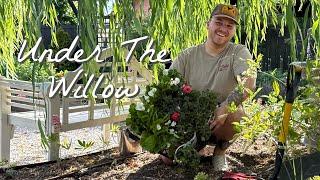 Sunflowers, Shade Plants, and a Sneak Peek at the Secret Garden || Visit Our Garden