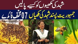 How to Start Honey Bee Farming in Pakistan | Honey Bee Farming in Pakistan || Qasim Malik