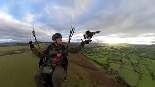 Parahawking - Paragliding with Hawks