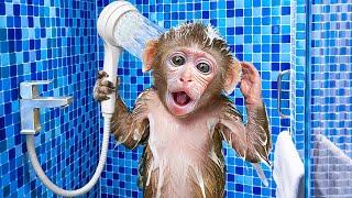 KiKi Monkey bathing in the toilet so funny with Duckling & play at swimming pool | KUDO ANIMAL KIKI