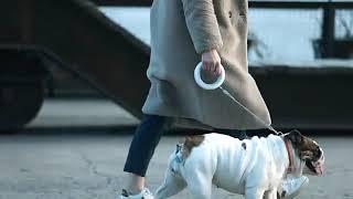 두손이 자유로운 강아지 산책 목줄 ^^ 센서로 자동 조절가능합니다.