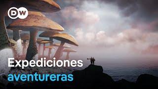 Viaje al centro de la Tierra | DW Documental