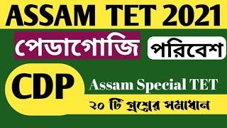 CDP & EVS questions for Assam tet 2021