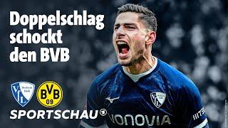 VfL Bochum – Borussia Dortmund Highlights Bundesliga, 22. Spieltag | Sportschau Fußball