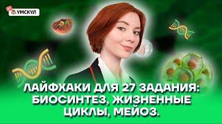 Лайфхаки для решения 27 задания: биосинтез, жизненные циклы, мейоз | Биология ЕГЭ 2022 | Умскул