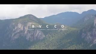 BVC Co. 'The Blueprint'